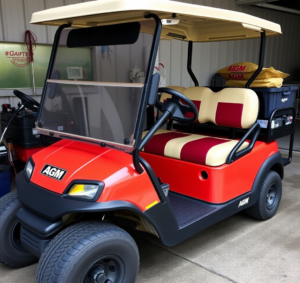 golf cart agm batteries