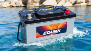 dual purpose agm marine battery